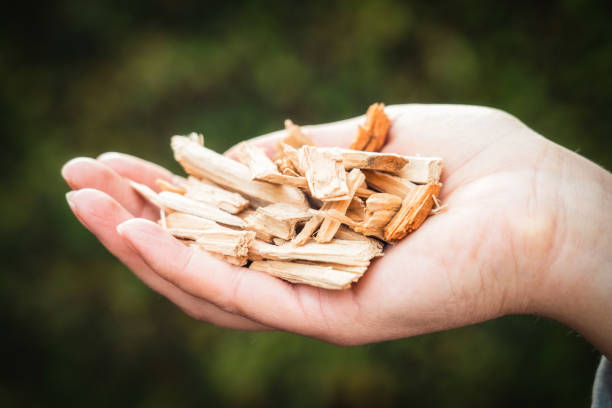 Handful of wood chips Holding wood chips, for use in a biofuel boiler. wood chip stock pictures, royalty-free photos & images