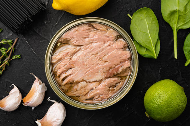 canned albacore wild tuna, top view flat lay - tuna imagens e fotografias de stock