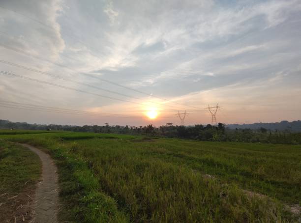 istock panorama of agrarian rice fields landscape in the village of Central Java, like a terraced rice fields ubud Bali Indonesia 1360367375