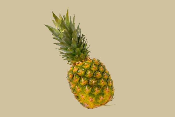 istock Pineapple fruit isolated on pastel background. Creative layout made of pineapple. Flying food. Food concept 1360367627
