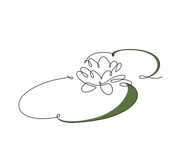 illustrazioni stock, clip art, cartoni animati e icone di tendenza di disegno continuo a linee di ninfea. - lily pond