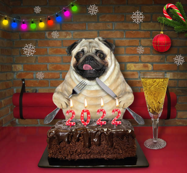 istock Dog pug eats 2022 cake in restaurant 1360368800