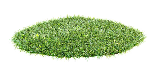 istock Grass arena with a patch of green grass for your mockups. Mixed Media 1360368964