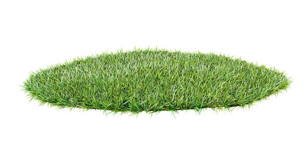 istock Grass arena with a patch of green grass for your mockups. Mixed Media 1360368970