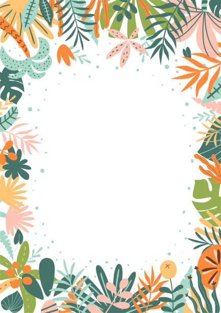 ilustrações de stock, clip art, desenhos animados e ícones de jungle frame. tropical leaves, palm leaves, frame nature background. bright rainforest card. cute jungle birthday invitation. safari frame. vector illustration. summer foliage of tropical plants trees - nature grass bush forest