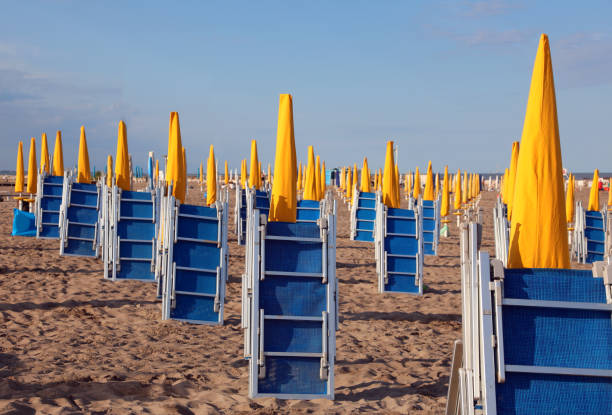 yellow Closed umbrellas and blue sun beds without people on the desert beach during the lockdown
