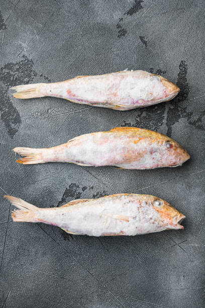istock Frozen mullet or sultanka fish, on gray stone table background, top view flat lay 1360372752