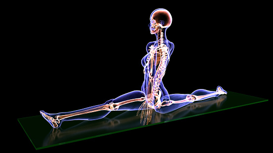 MRI scan review of one of the most difficult positions in gymnastics. The image is showing the skeletal structure of spagat position on the mat. Woman performing a challenging gymnastics position with her legs spread wide on the floor. Woman health and yoga. A human anatomy view created with x-ray images. / You can see the animation movie of this image from my iStock video portfolio. Video number: 1359978210