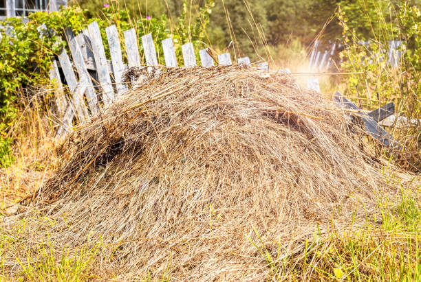 Stack of dry hay on sunny summer day in countryside. Countryside landscape
