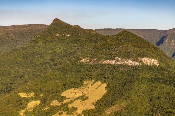 istock Mountains and valley cover by forest 1360374429