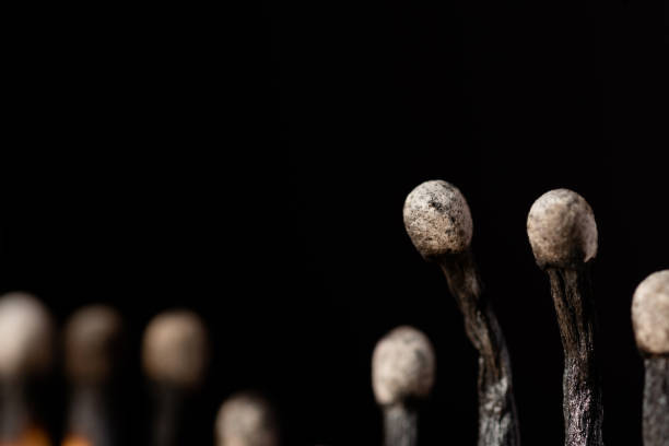 istock Close-up shot of burnt matches 1360375336