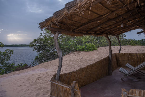 istock Landscape in Senegal 1360375674