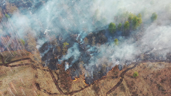 Aerial View. Spring Dry Grass Burns During Drought Hot Weather. Bush Fire And Smoke In Deforestation Zone. Wild Open Fire Destroys Grass. Nature In Danger. Ecological Problem Air Pollution.