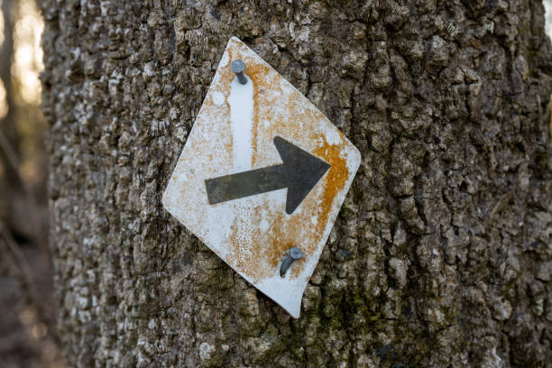 istock Right Arrow Blaze Nailed to Tree 1360376848
