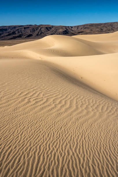 istock Untouched Rippling Texture of Panamint Dunes 1360377386