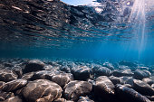 istock Underwater view with stones bottom, sun rays and reflection in sea water. 1360378718