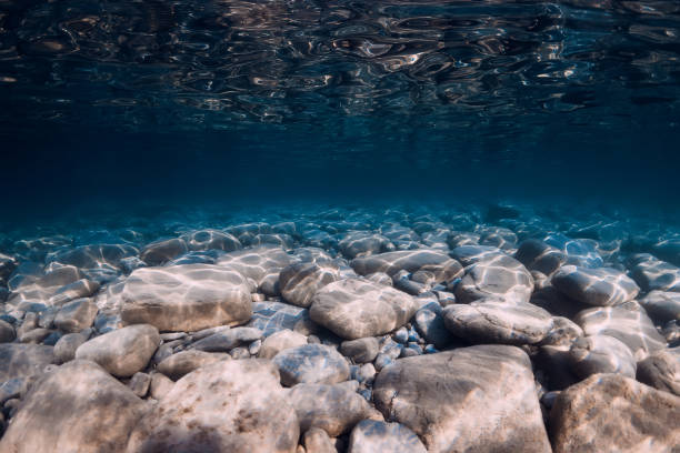 istock Underwater view with stones bottom, reflection in sea water. Ocean background 1360378719