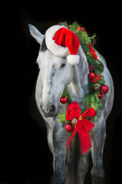 istock Horse in New year decor 1360378955