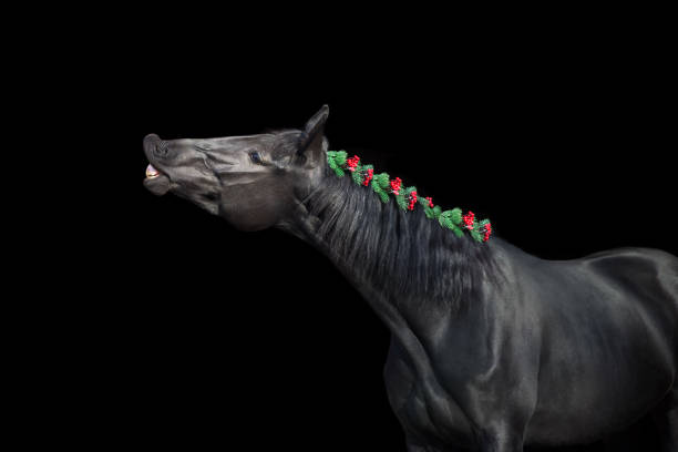 istock Horse in christmas decoration 1360378956