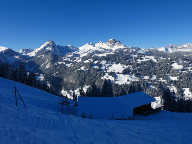 catene montuose viste dal monte wispile, gstaad. - bernese oberland gstaad winter snow foto e immagini stock