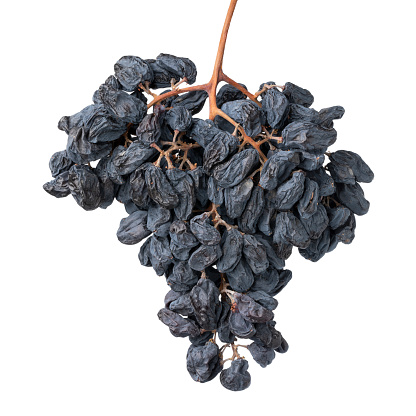 Dried sweet grapes on the vine close up on white background