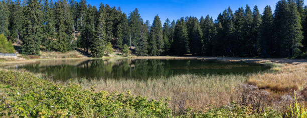 istock Schwarze Lacke, a mountain lake, South Tyrol 1360385488
