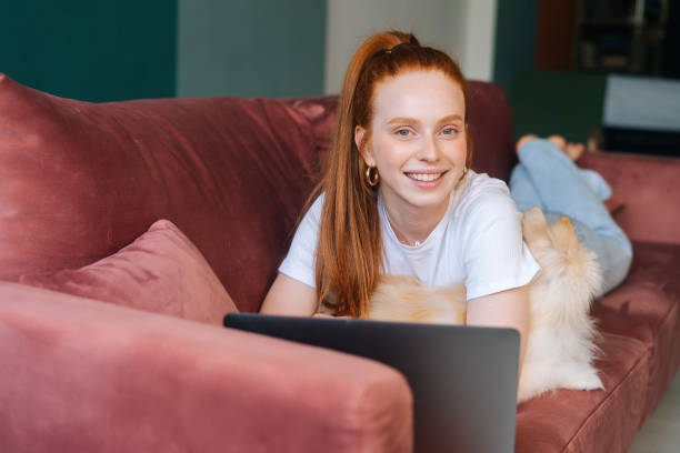 porträt einer fröhlichen jungen frau, die auf einem bequemen sofa mit weißem hübschem spitz-hund liegt und einen laptop im wohnzimmer benutzt. - spitz type dog fotos stock-fotos und bilder