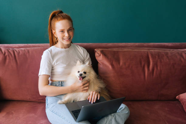 istock Portrait of charming smiling young woman using laptop computer sitting on comfortable sofa cuddling cute small white Spitz pet dog, looking at camera. 1360385927