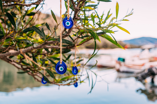 Evil Eye Beads Hanging From a Tree on the Beach