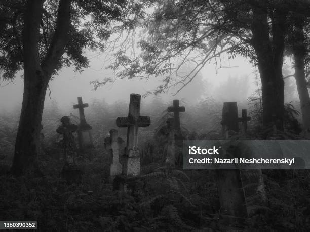 Crosses And Graves In The Old Abandoned Cemetery Stock Photo - Download Image Now - Cemetery, Spooky, Horror