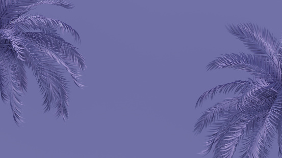 Palm tree minimal summer background pantone 2022 very peri color