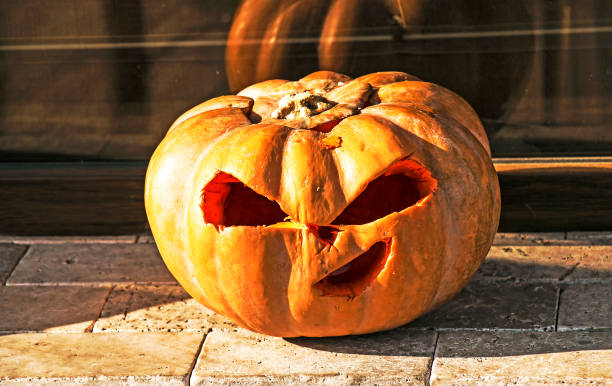 istock Harvesting pumpkin for Halloween. Positive emotion concept 1360391399