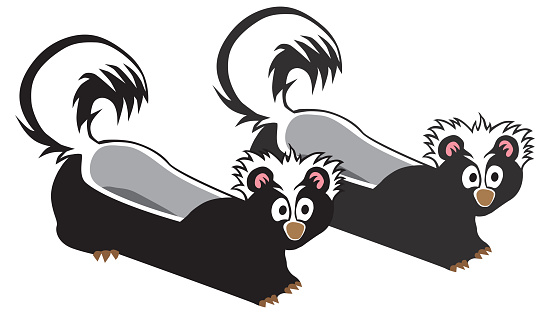 A pair of cartoon skunk slippers is ready to be put on and worn around the house