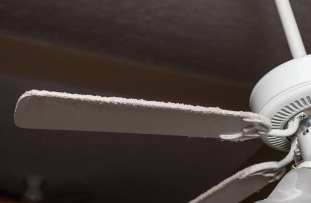 istock Dust collected along the front edge of the fan blade on ceiling 1360391611