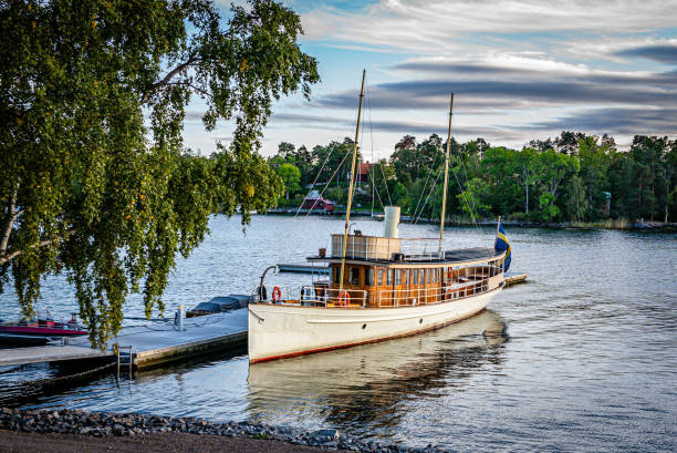 istock Beautiful steamboat 1360391678
