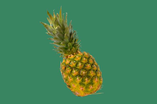 istock Pineapple on a color background. Clipping paths. Golden ripe pineapple fruit on a color background. Healthy nutrition 1360397104