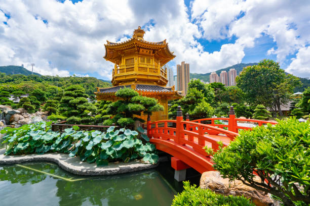 중국 홍콩 다이아몬드 힐에 위치한 난리안 가든의 치린 누너리 - bridge wood japanese garden footbridge 뉴스 사진 이미지