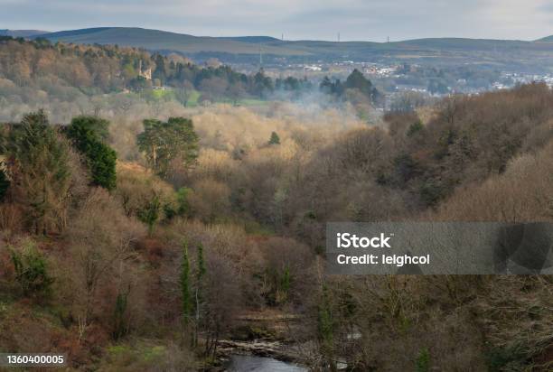 Cyfarthfa Park And Castle Stock Photo - Download Image Now - Bare Tree, Brown, Castle