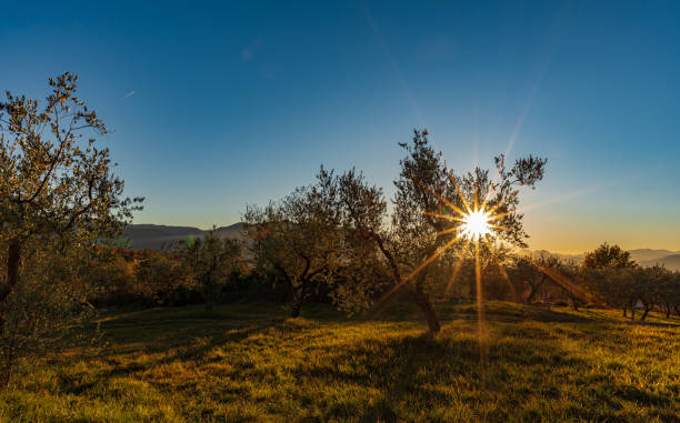 istock Molise, Italy.  Spectacular autumn panorama. 1360403263