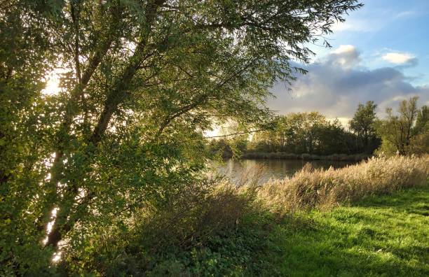 istock dutch industry behind nature in sunset in amsterdam 1360410629