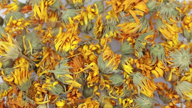 Whole, Dried Calendula Flowers