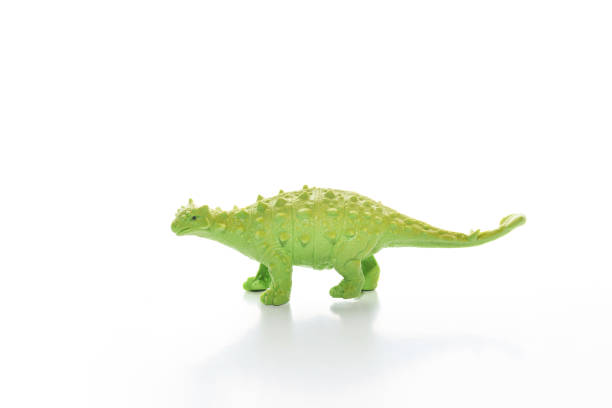 ankylosaurus dinosaurier spielzeug isoliert auf weißem hintergrund - dinosaur toy dino monster stock-fotos und bilder