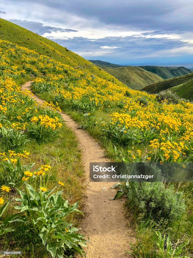 Mountain biking trail in the foothills above Boise, Idaho Boise foothills in the spring Idaho Stock Photo
