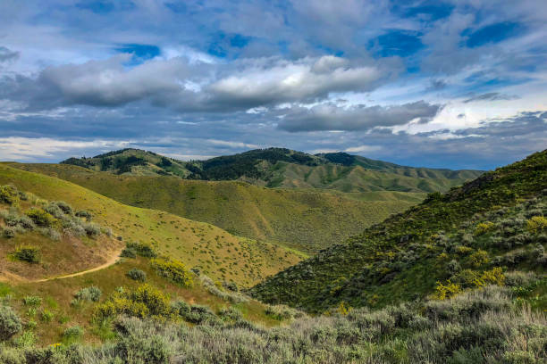 маршрут для горных велосипедов в предгорьях над бойсе, штат айдахо - idaho boise summer flower стоковые фото и изображения