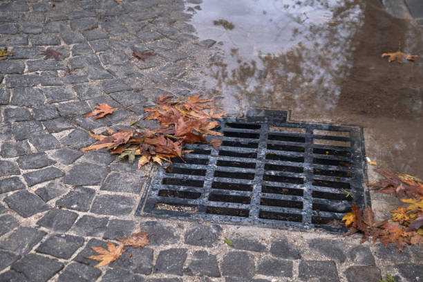 istock cast iron rain drain grate on  cobblestone road. 1360426539