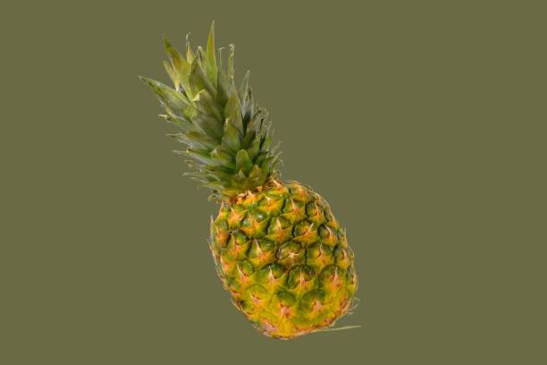 istock Pineapple on a color background. Clipping paths. Golden ripe pineapple fruit on a color background. Healthy nutrition 1360433405