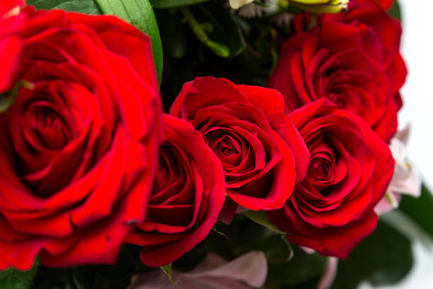 istock Flowers background of various species 1360434156
