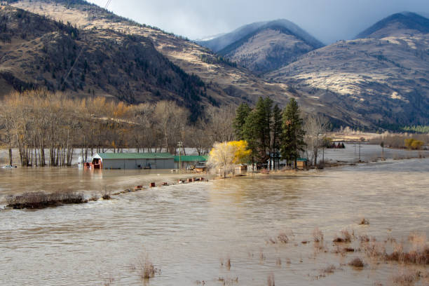 água subindo sobre as margens e inundando o vale similkameen - similkameen river - fotografias e filmes do acervo