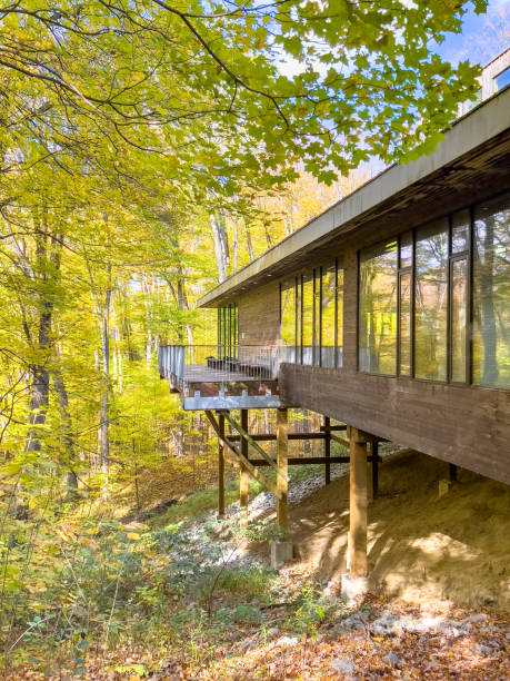 istock Autumn forest pathway at Kortright Centre Conservation, Woodbridge, Vaughan, Canada 1360444462