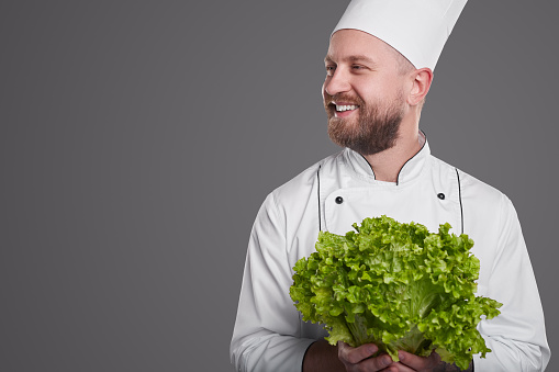 Content male cook in white uniform standing with fresh green lettuce on gray background in studio and looking away
